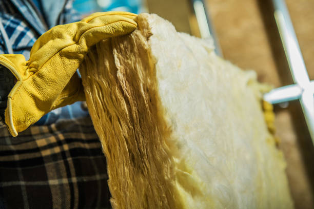 Best Spray Foam Insulation in Shenandoah, LA