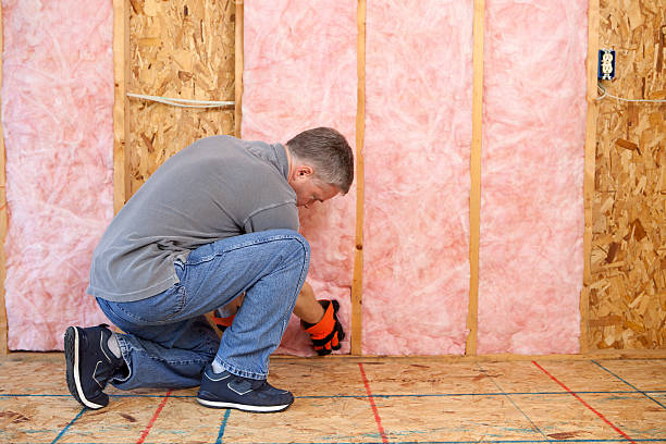 Types of Insulation We Offer in Shenandoah, LA