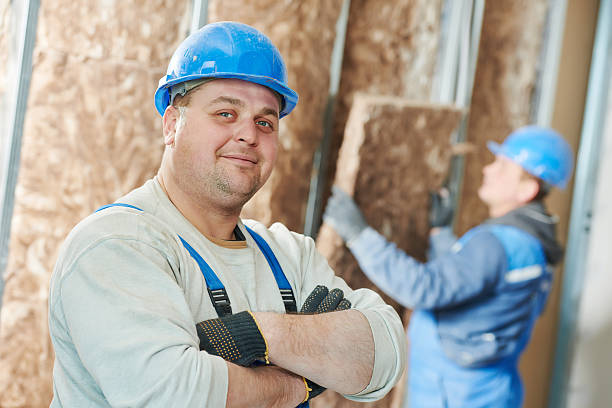 Best Insulation Maintenance and Repair in Shenandoah, LA