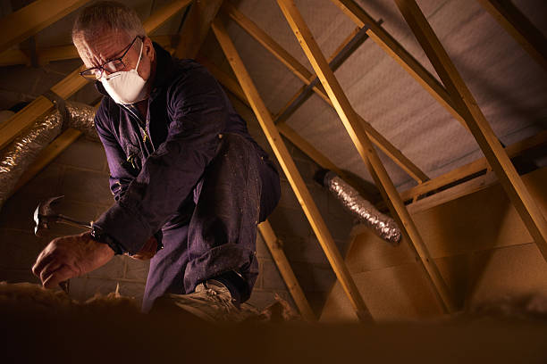 Best Spray Foam Insulation in Shenandoah, LA