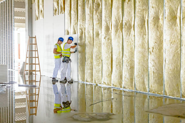 Best Cellulose Insulation in Shenandoah, LA